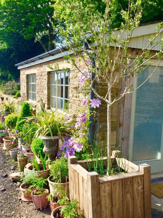Lavender cottage Gloucester Eksteriør billede
