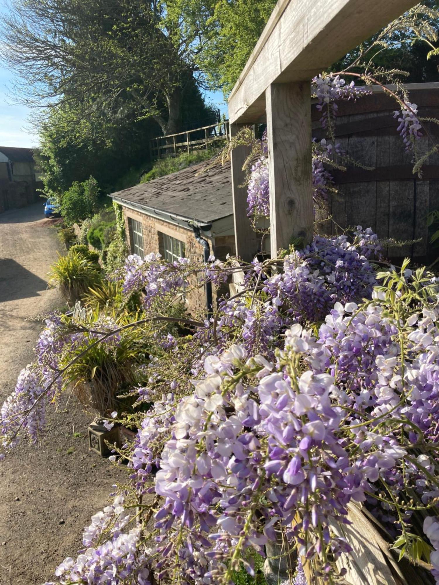 Lavender cottage Gloucester Eksteriør billede